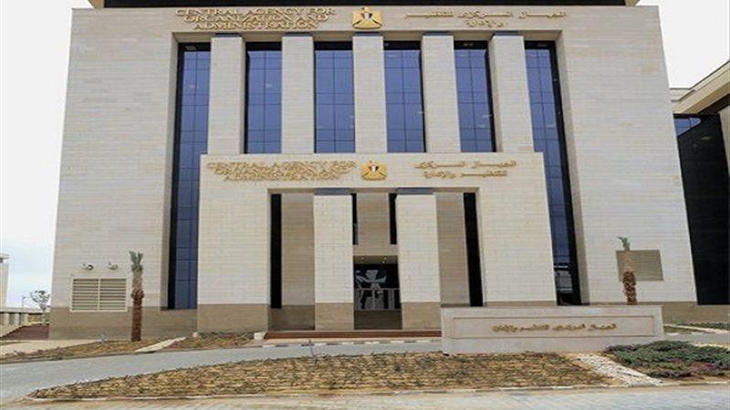 التنظيم والادارة