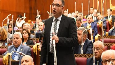 النائب سيد حجازي :مصر لا تقبل الوصاية والتدخل في شئونها