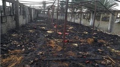 حريق هائل بمزرعة دواجن بالشرقية