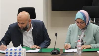 124 مليون جنيه لتدعيم التغذية الكهربية لمشروع الدلتا الجديدة