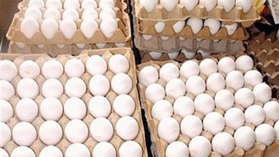 25 جنيها.. انخفاضا في سعر كرتونة البيض خلال هذا الموعد