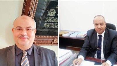 قطع الكهرباء عن لوحة أبوالاخضر وبعض قرى الزقازيق غدا
