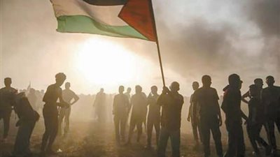 نجوم الفن يواصلون التضامن مع الشعب الفلسطيني