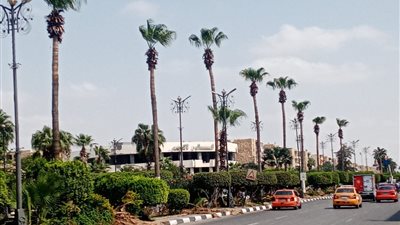الإسماعيلية تستعيد وجهها الجمالي بتطوير المسطحات والميادين ..صور