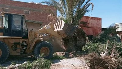 رئيس غارب: إحلال وتجديد الارصفة بشارع الميناء