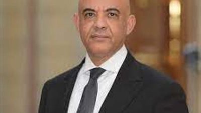 النائب عمرو هندى: موقفنا حاسم من خطط تصفية القضية الفلسطينية .. وكلنا خلف قيادتنا