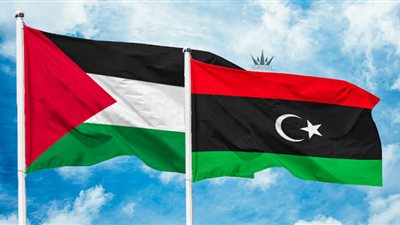 خبير: الأطراف المختلفة في ليبيا تعلن دعمها للقضية الفلسطينية ضد الكيان الصهيوني