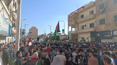 الإسماعيلية تحتشد لتأييد قرارات الرئيس السيسي وترفض التهجير.صور