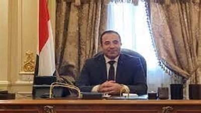 النائب أحمد بدوى: رسالة ملايين المصريين فى الساحات لنصرة غزة ودعم القيادة السياسية تؤكد قوة جبهتنا الدخلية