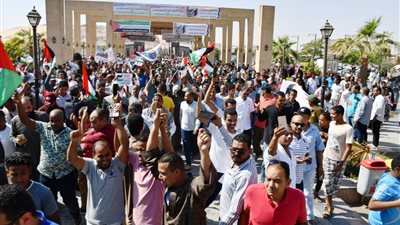 أهالى أسوان يشاركوا فى جمعة 