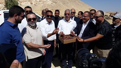 محافظ مطروح: زراعة ١٠٠ ألف نخلة و٧٥ ألف شجرة زيتون بسيوة