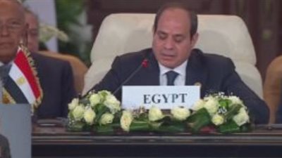 الرئيس السيسي: شعوب العالم أجمع تترقب مواقفنا في هذه اللحظة التاريخية