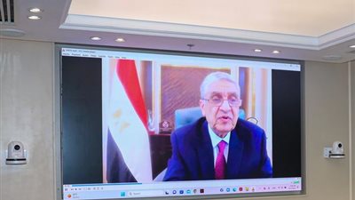 الكهرباء: تعزيز تنافسية مصر في مجال الهيدروجين الأخضر
