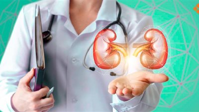 7 عادات يومية قد تضر الكلى