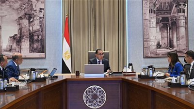 مدبولي يتابع مع وزير قطاع الأعمال تعزيز أوجه الشراكة مع القطاع الخاص