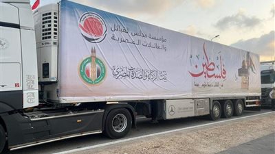 فضيلة الامام الأكبر يوجه بتسيير قافلة من بيت الزكاة إلى غزة