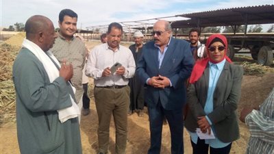 محافظ أسيوط يؤكد على الاهتمام بمشروعات الثروة الحيوانية وتنميتها