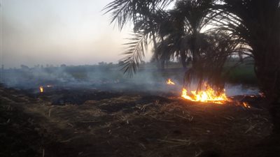 تكثيف حملات رصد حرق المخلفات الزراعية وتحرير 54 محضر بديروط