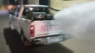 نشاط مكثف لمكافحة الذباب والبعوض بالشرقية