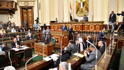 البرلمان يوافق من حيث المبدأ علي إصدار قانون الوكالة المصرية