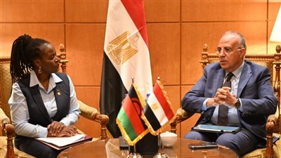 وزير الري يؤكد استمرار جهود مصر لتوطيد وحدة القارة الإفريقية