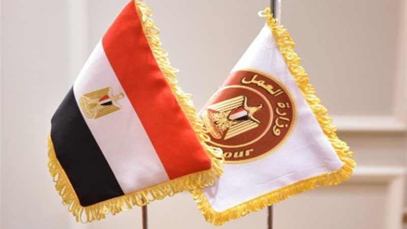 وزارة العمل