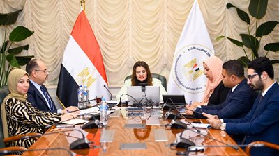 وزيرة الهجرة: الدولة تبذل جهودا كبيرة لتهيئة المناخ الاستثماري