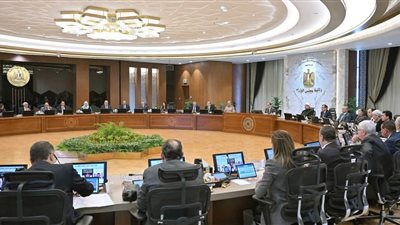 الحكومة توافق على 1600 جنيه سعراً استرشادياً لتوريد أردب القمح