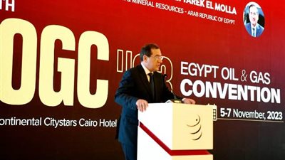 الملا: استراتيجية إزالة الكربون أولوية لصناعة البترول والغاز