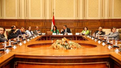 المشاط: نتجه نحو الشرق لتوسيع علاقات التعاون الإنمائي