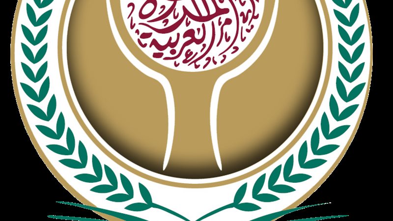 شعار منظمة المرأة