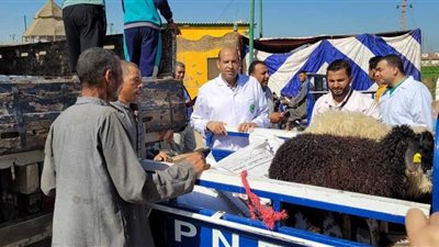 ثلاث قوافل طبية بيطرية مجانية بمراكز أبو قرقاص و ملوي والعدوة