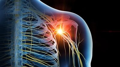 هل يمكن استعادة الأعصاب المتضررة ؟