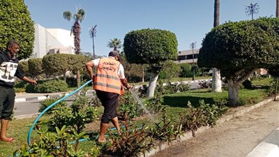 استمرار تطوير وتجميل مسطحات وميادين الإسماعيلية