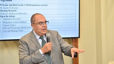 محيي الدين: النهج الشامل هو مفتاح التغلب على معوقات العمل المناخي