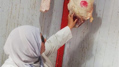 بيطري الشرقيةيضبط2طن لحوم ودواجن ويحرر4محاضرمخالفة