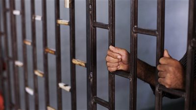 عاطل الشرقية دكتور فى عيادة مخ وأعصاب
