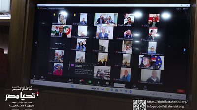حملة السيسي تلتقي المصريين بالخارج في أوروبا وكندا عبر 