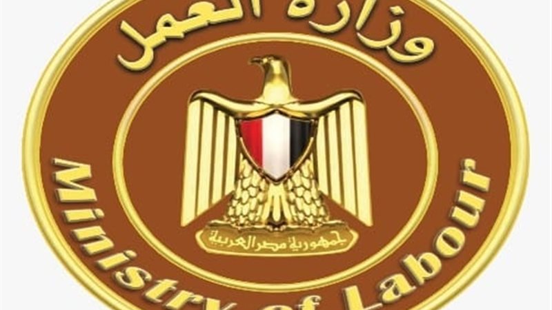 وزارة العمل حسن شحاتة