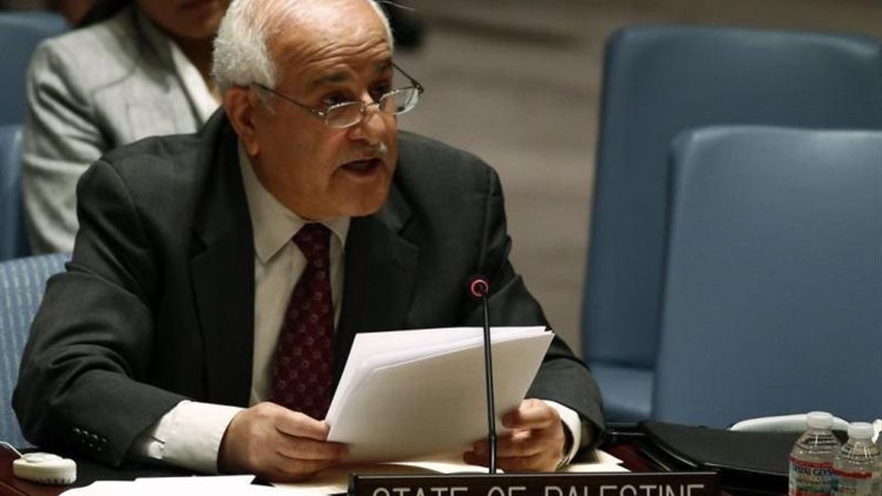 رياض منصور مندوب