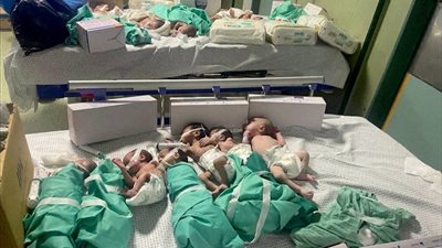 إجلاء 31 طفلا مبتسرا من مستشفى الشفاء في غزة