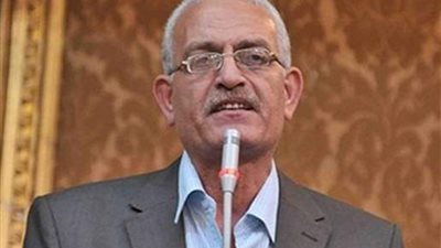برلماني: نرفض تصفية القضية الفلسطينية.. وندعم القيادة السياسية