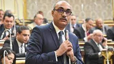رئيس برلمانية المصرى الديمقراطى : التهجير القسرى والتوطين الطوعى وجهان لعملة واحدة .. وكلاهما مرفوض