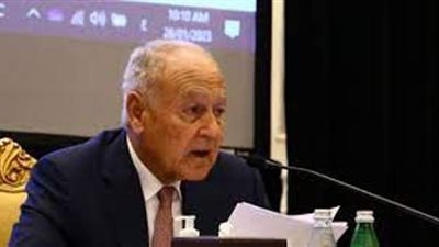 أبو الغيط يرحب بنجاح الوساطة المصرية القطرية والوصول إلى هدنة فى غزة