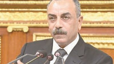 هؤلاء لهم حق التصويت فى الانتخابات الرئاسية.. بالخارج