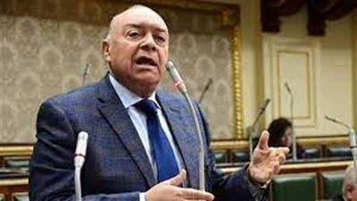 وكيل نقل النواب : الهدنة فى غزة تؤكد حرص مصر على مواصلة دورها تجاه القضية الفلسطينية