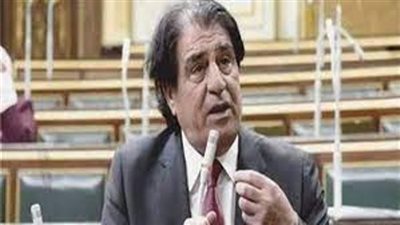 الشئون العربية بالنواب: جهود مصر لإقرار الهدنة فى غزة جمعت بين العمل السياسى والنظرة الإنسانية