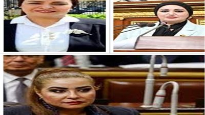 نواب : التوصل لهدنة إنسانية فى غزة تتويج للجهود المصرية