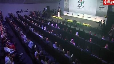 عضو تنسيقية الأحزاب: القضية الفلسطينية كانت ولا تزال جزءًا لا يتجزأ من وجدان الشعب المصري