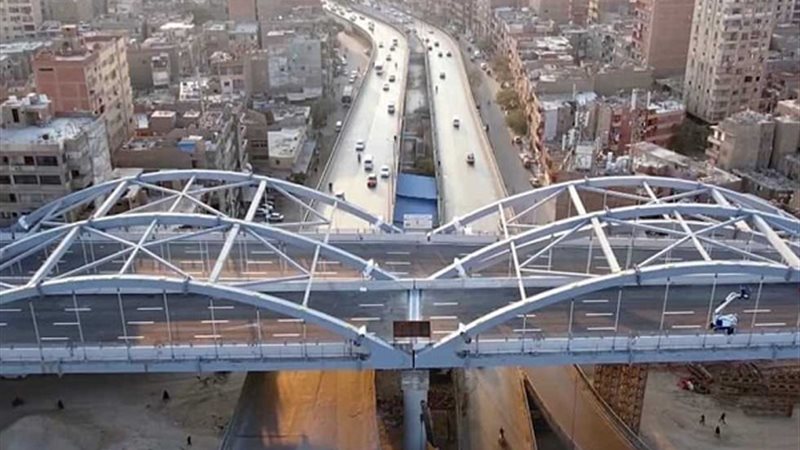 محور كامل عامر